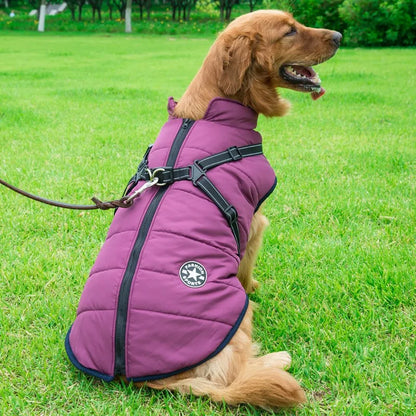 Winter Waterproof Dog Jacket