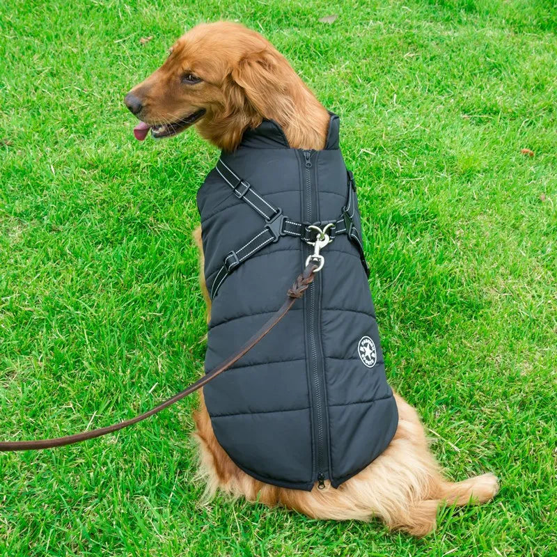 Winter Waterproof Dog Jacket
