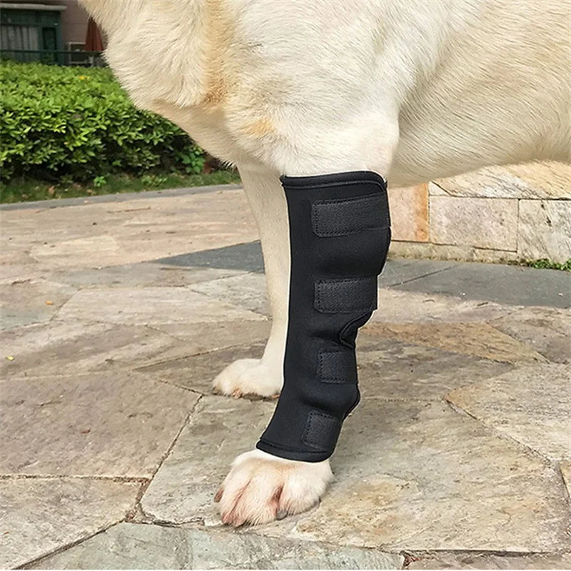 Dog Knee Support Bandage