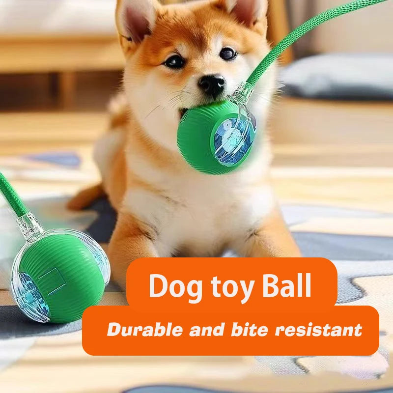 Automatic Dog Rolling Ball