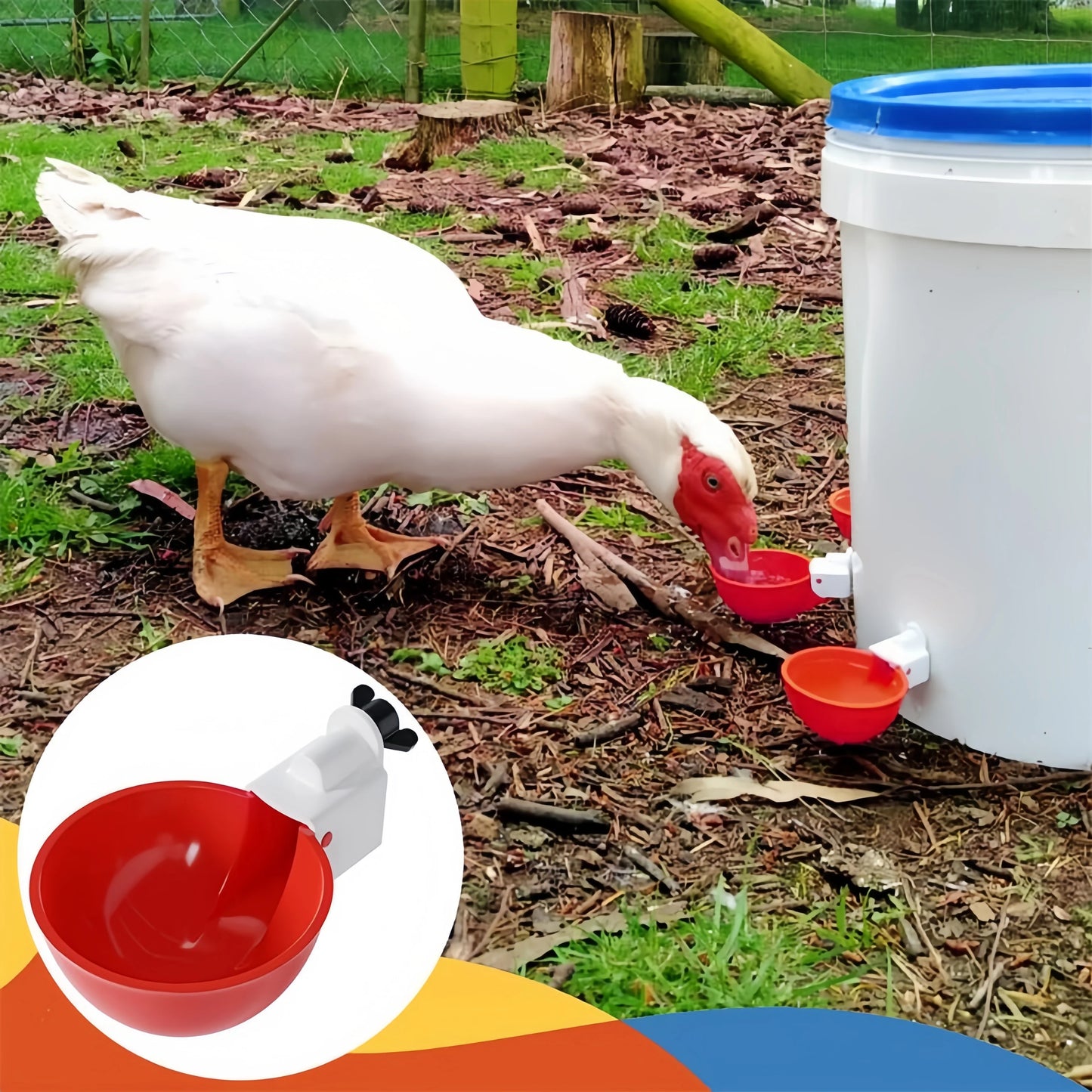 Automatic Poultry Drinking Cups