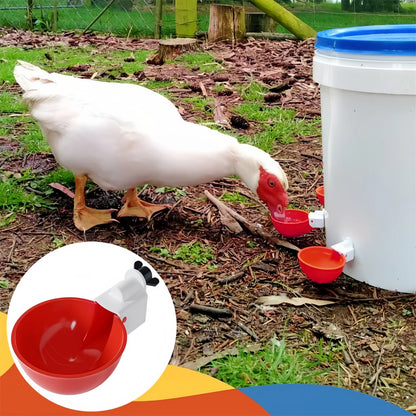 Automatic Poultry Drinking Cups