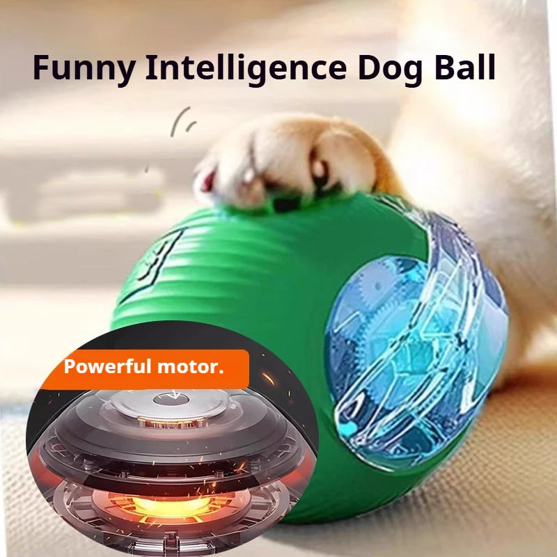 Automatic Dog Rolling Ball