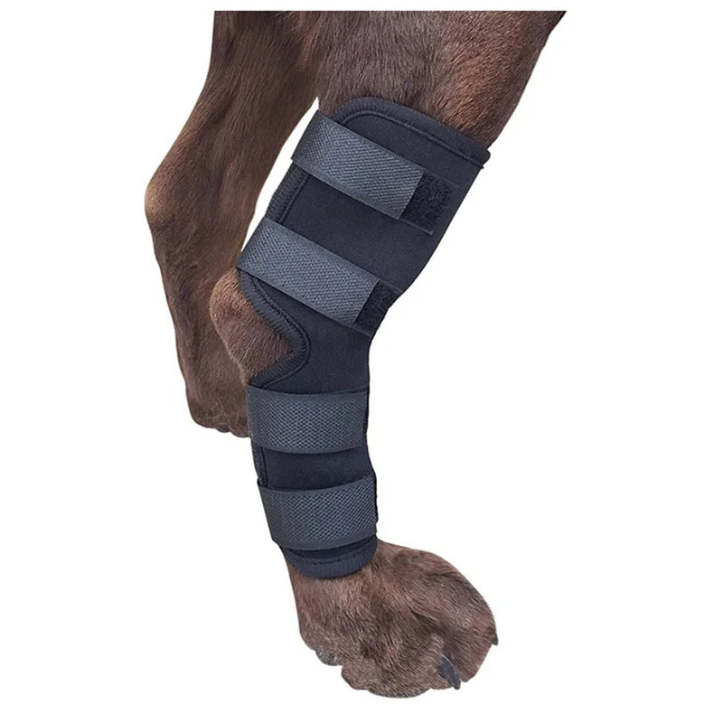 Dog Knee Support Bandage