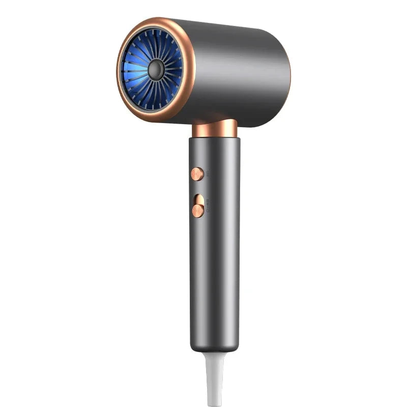 HOMEFISH 2000W Salon Hair Dryer