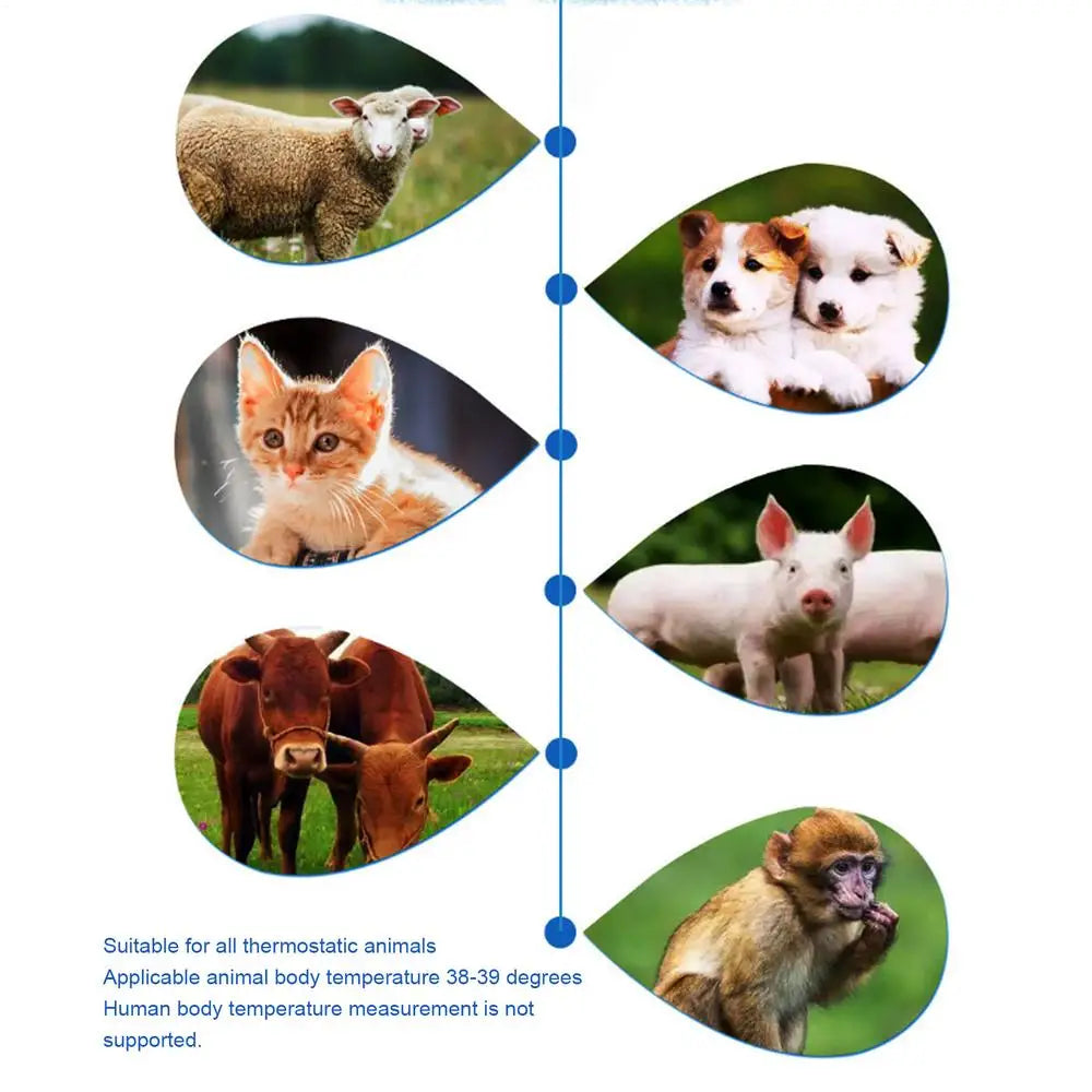 Digital Pet Ear Thermometer
