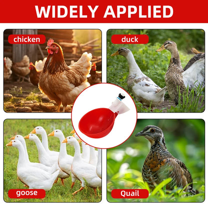 Automatic Poultry Drinking Cups