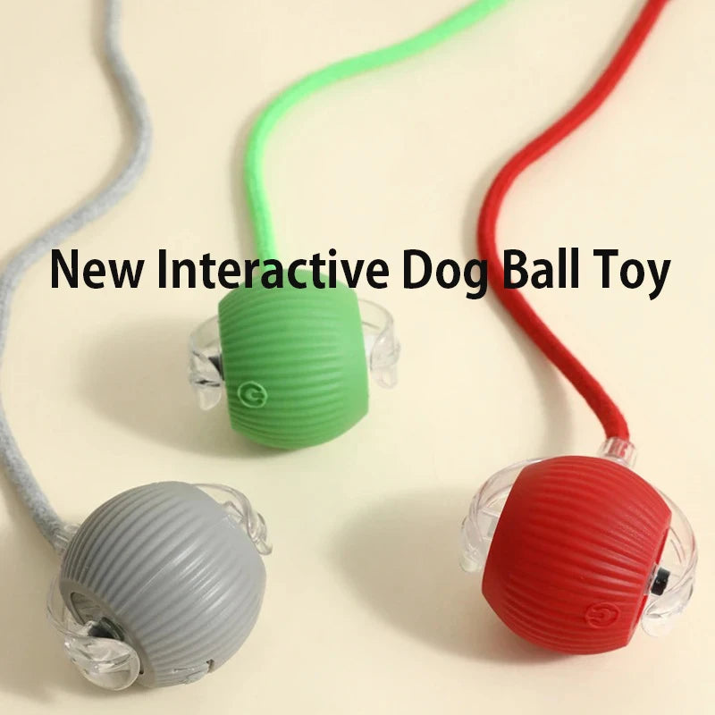 Automatic Dog Rolling Ball