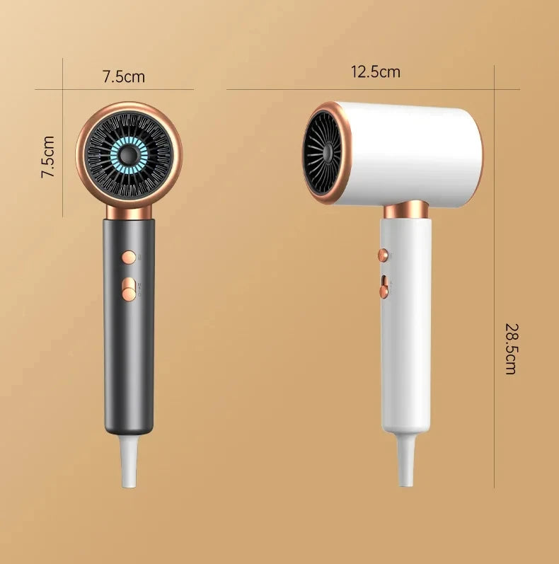 HOMEFISH 2000W Salon Hair Dryer