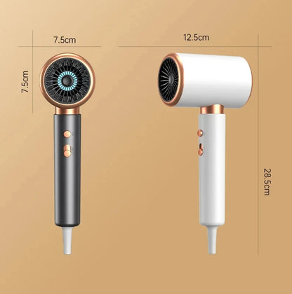 HOMEFISH 2000W Salon Hair Dryer