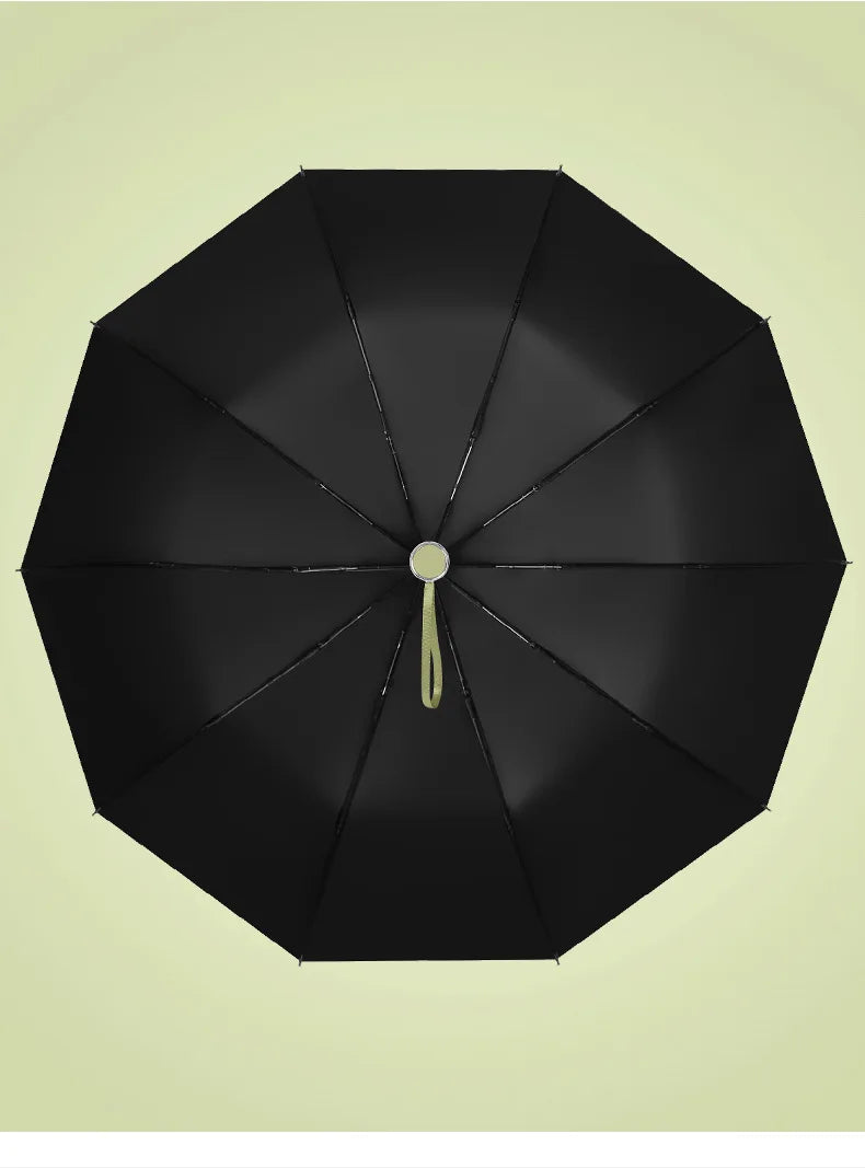 Windproof Automatic Travel Umbrella