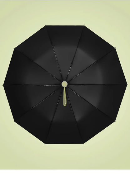 Windproof Automatic Travel Umbrella