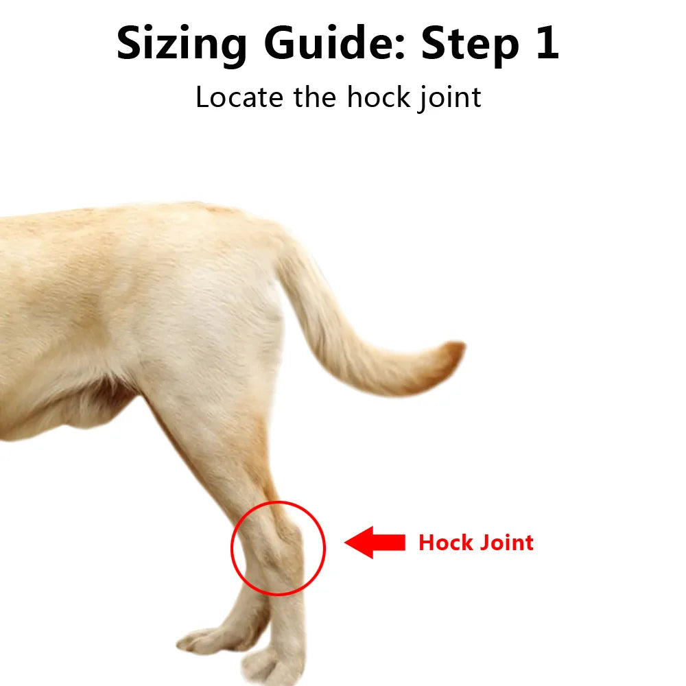 Dog Knee Support Bandage