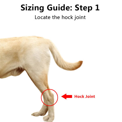 Dog Knee Support Bandage