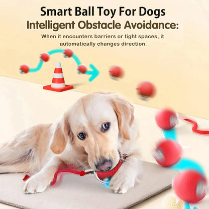 Automatic Dog Rolling Ball