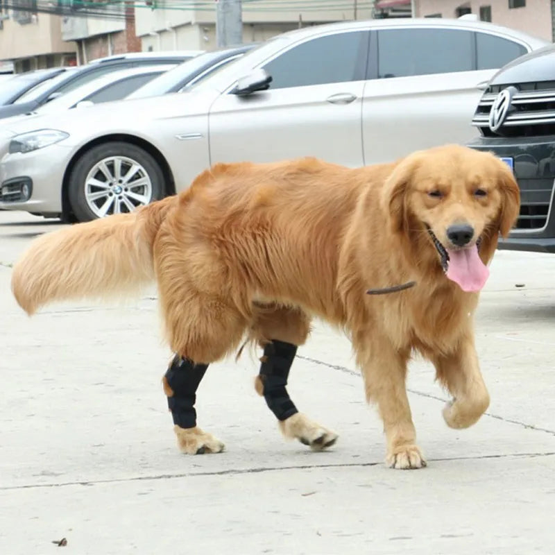 Dog Knee Support Bandage