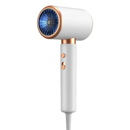 HOMEFISH 2000W Salon Hair Dryer