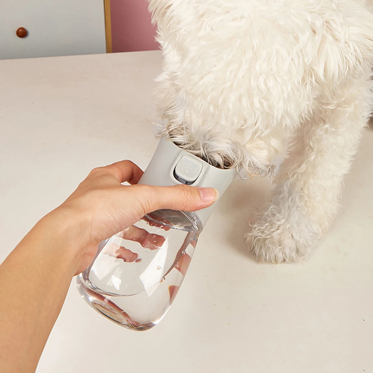 Portable Dog Water Bottle
