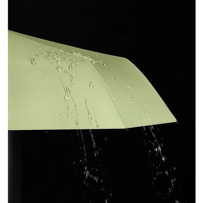 Windproof Automatic Travel Umbrella