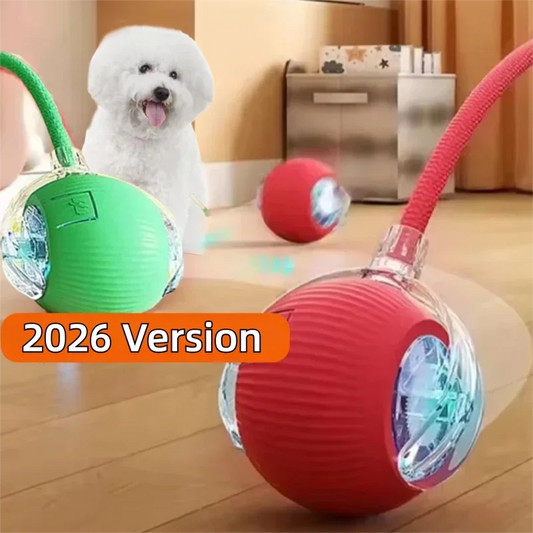 Automatic Dog Rolling Ball