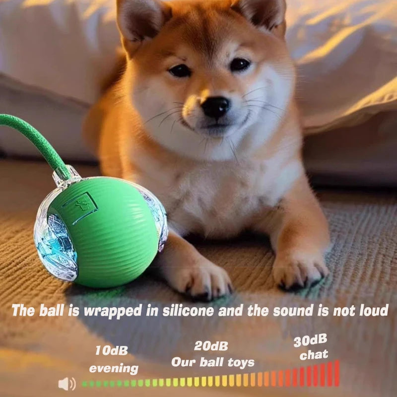 Automatic Dog Rolling Ball