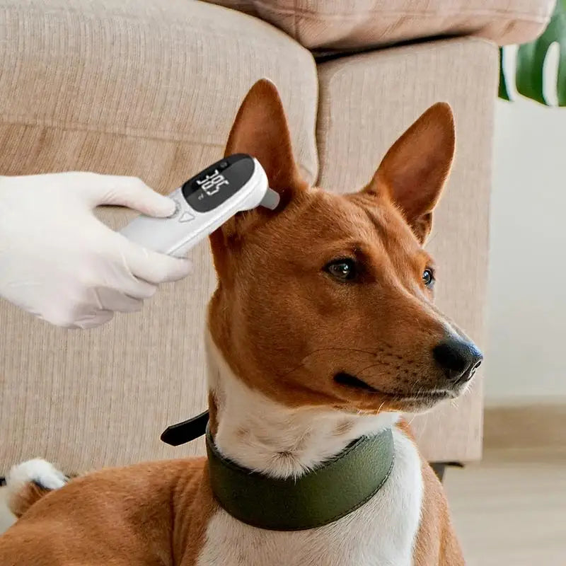 Digital Pet Ear Thermometer