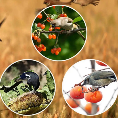Solar Bird Repeller Alarm